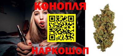 дмт Аша