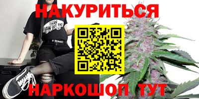 дмт Аша