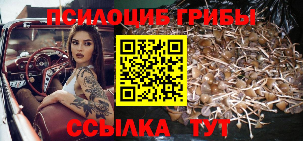 Псилоцибиновые грибы мицелий  Вход с VPN  Оренбург 