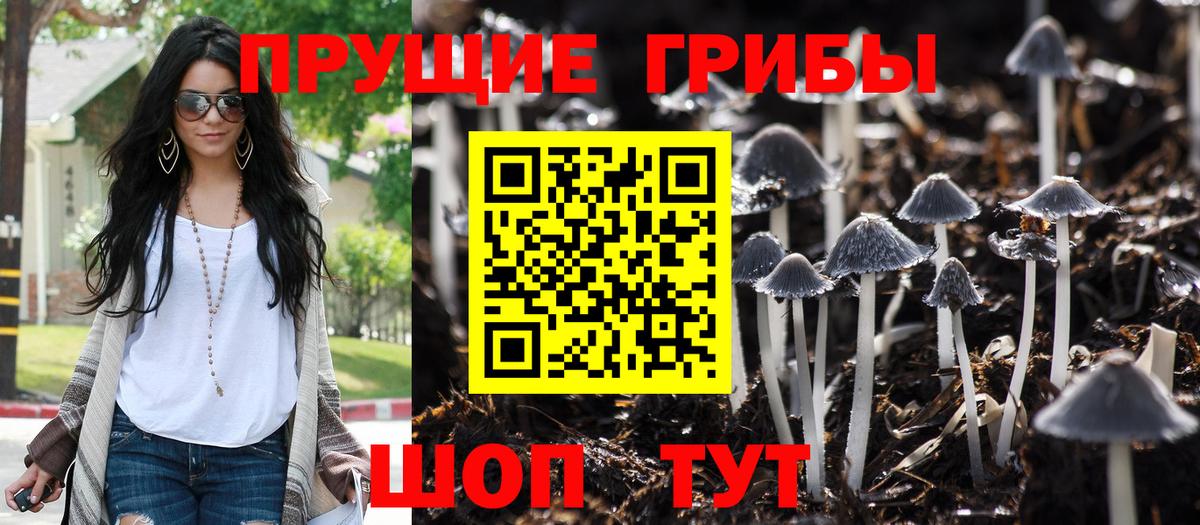 Псилоцибиновые грибы GOLDEN TEACHER Оренбург