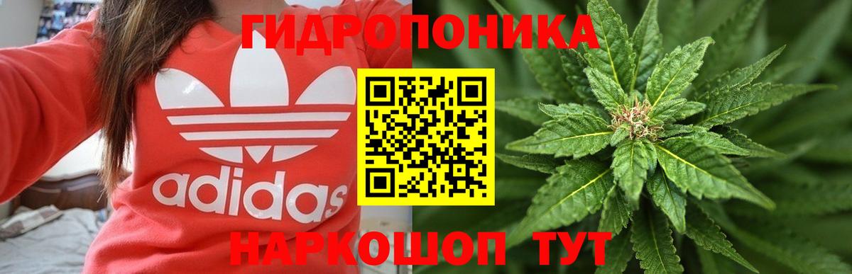 Бошки Шишки тримм  Вход с VPN  Оренбург  Бошки Шишки ГИДРОПОН  Бошки марихуана индика  МАРИХУАНА марихуана 